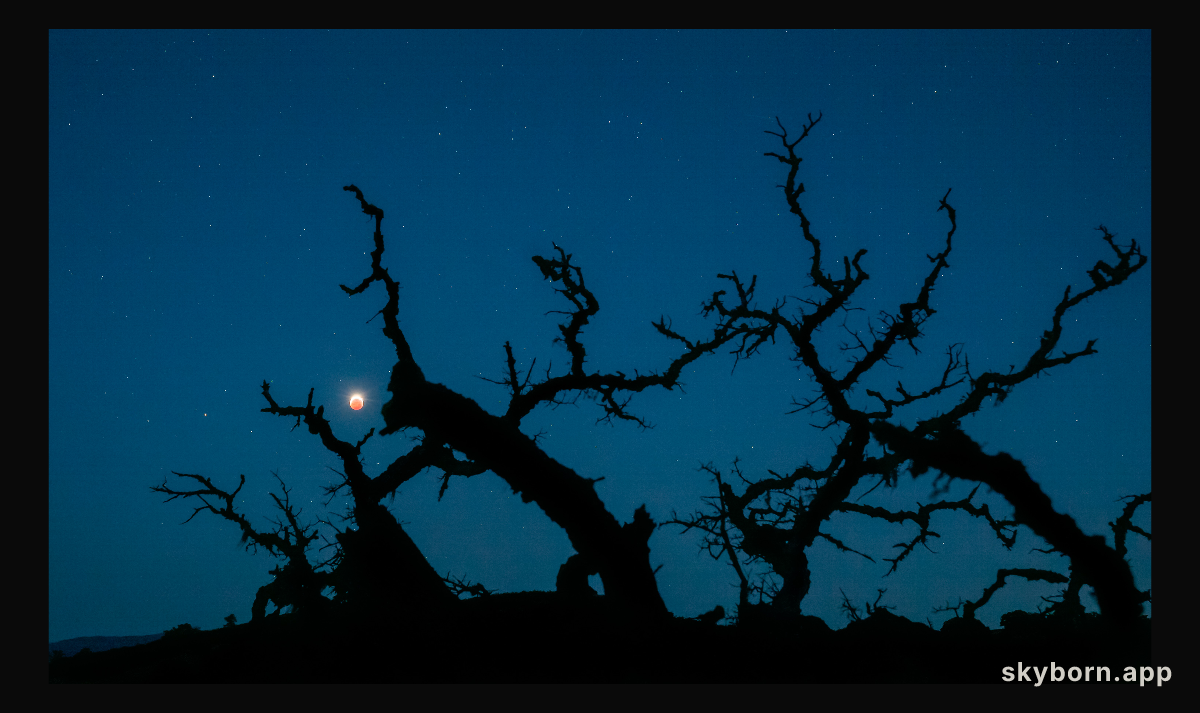Blood Monster Moon