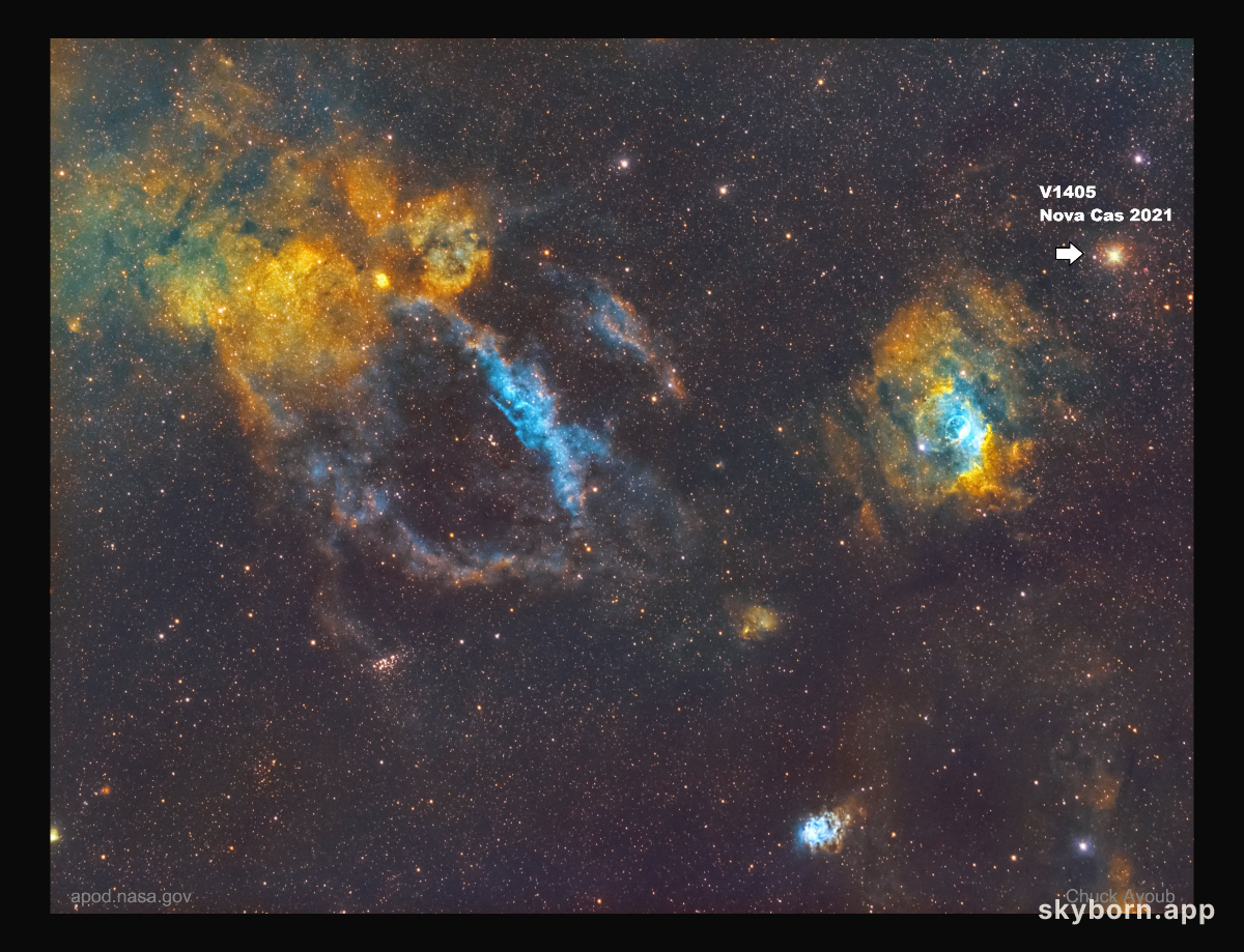 A Bright Nova in Cassiopeia