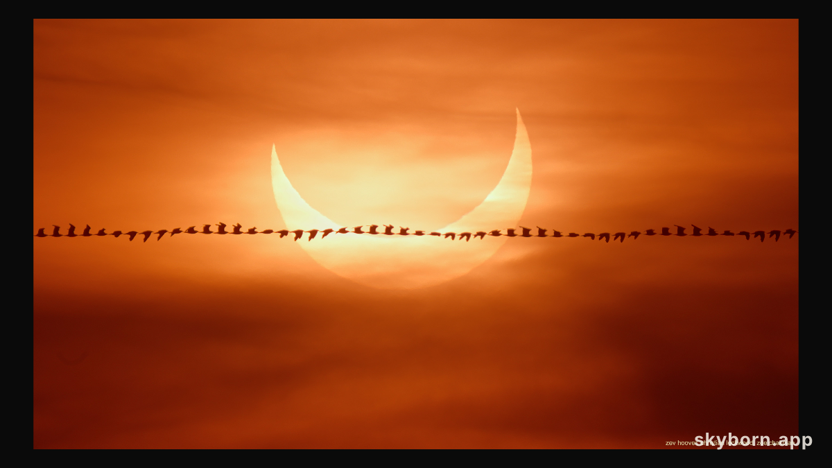 Eclipse Flyby