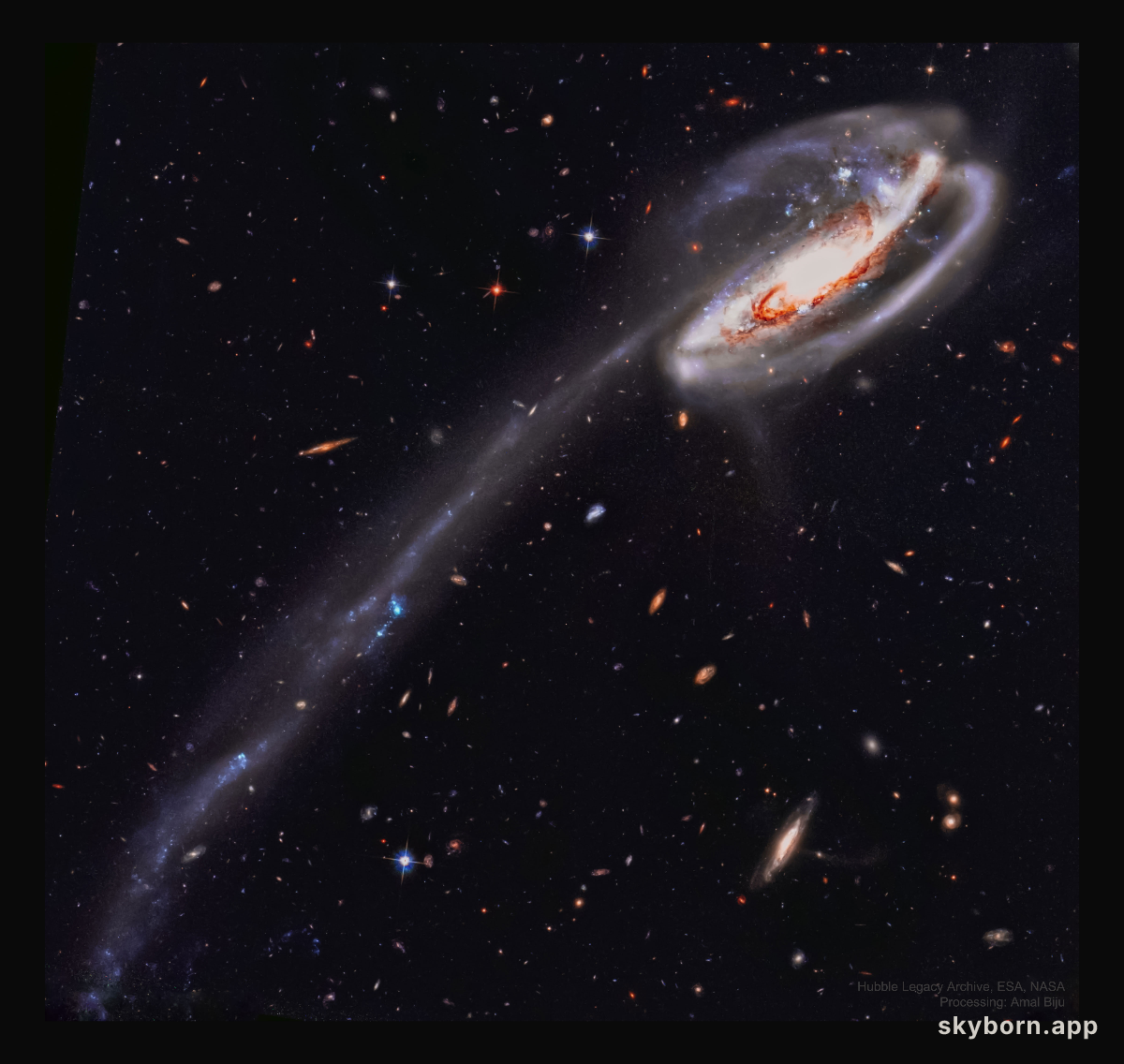The Tadpole Galaxy from Hubble