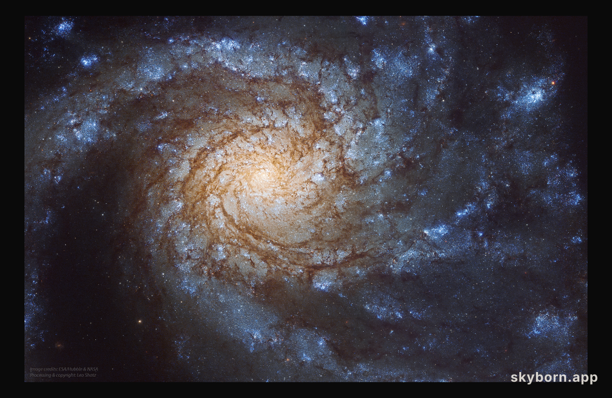 Messier 99