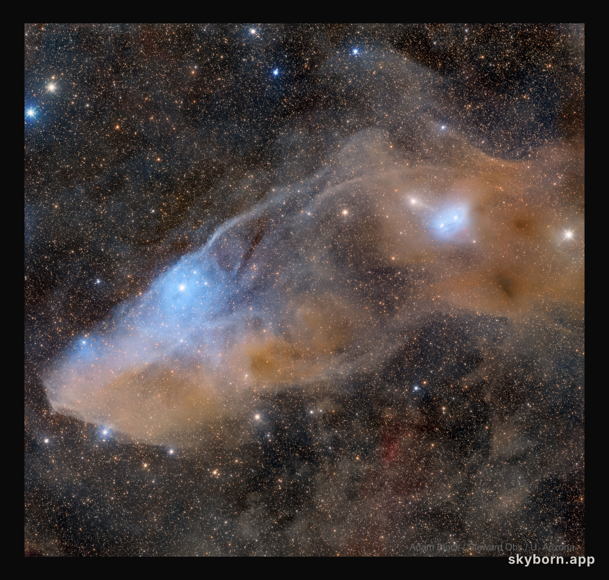 IC 4592: The Blue Horsehead Reflection Nebula