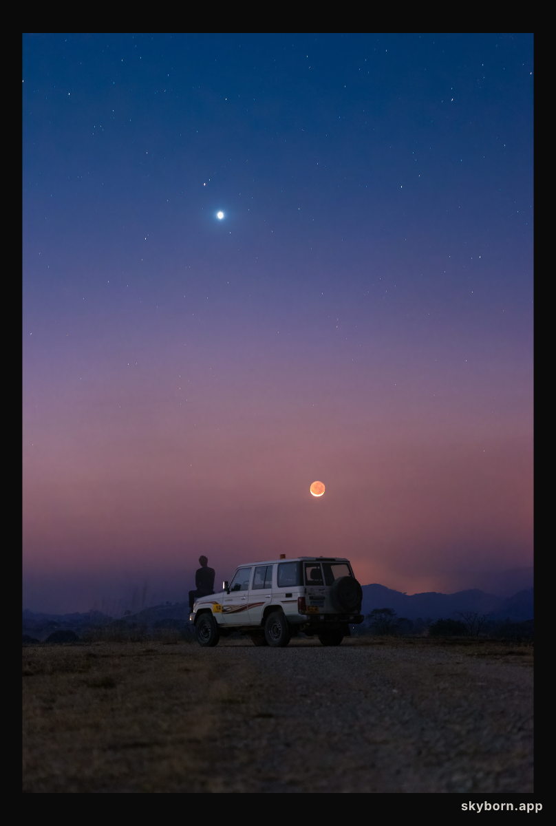 Love and War by Moonlight