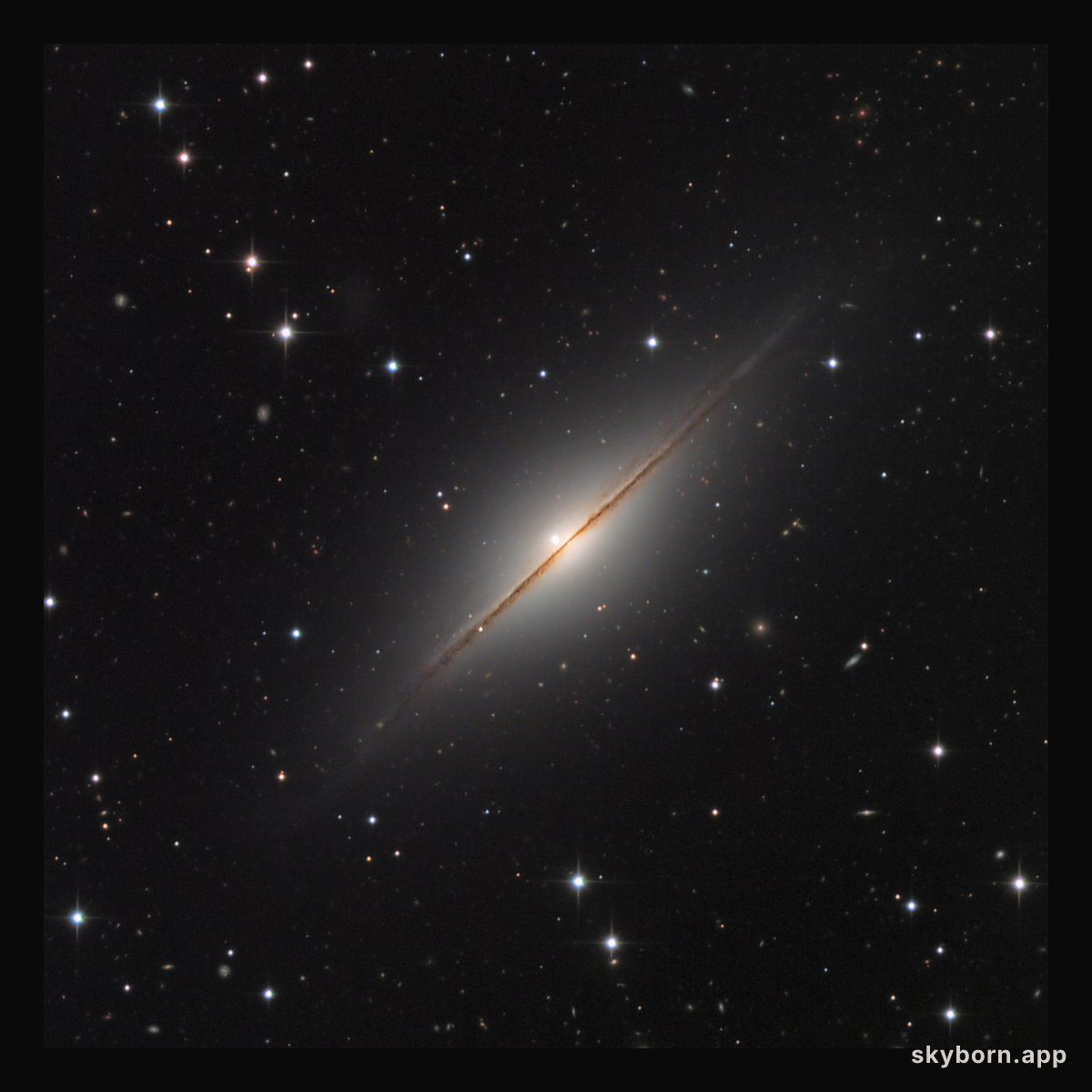 NGC 7814: Little Sombrero with Supernova
