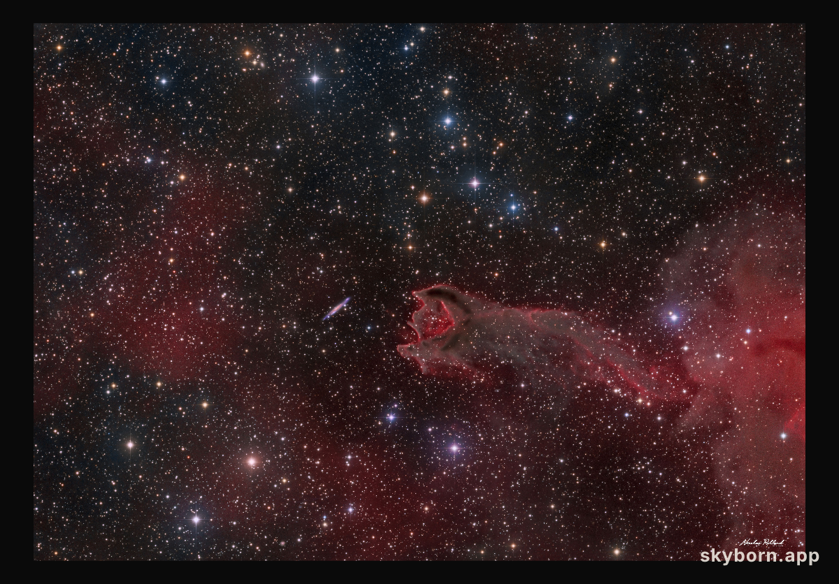 CG4: A Ruptured Cometary Globule