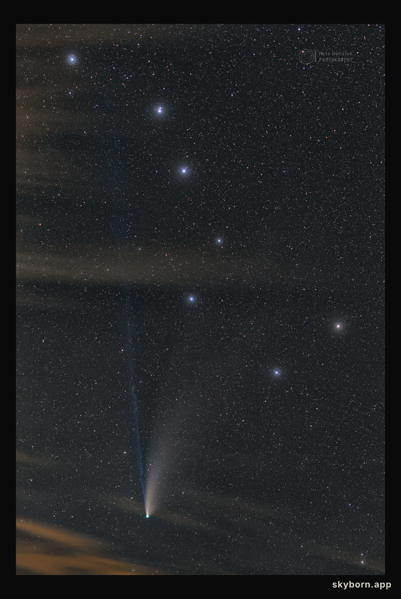Remembering NEOWISE