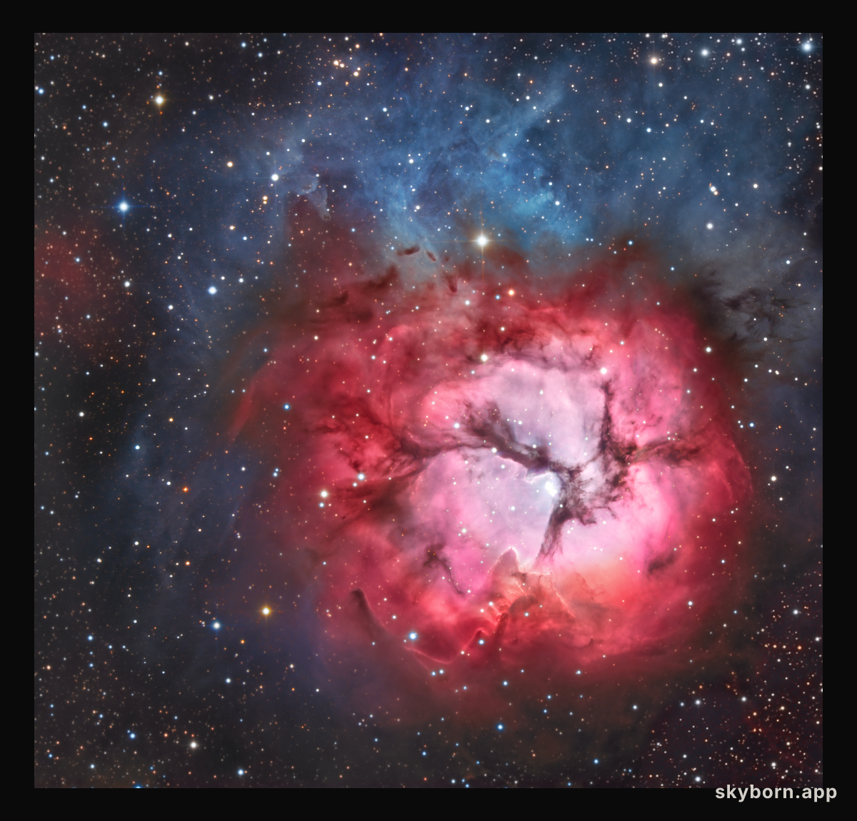 A Beautiful Trifid