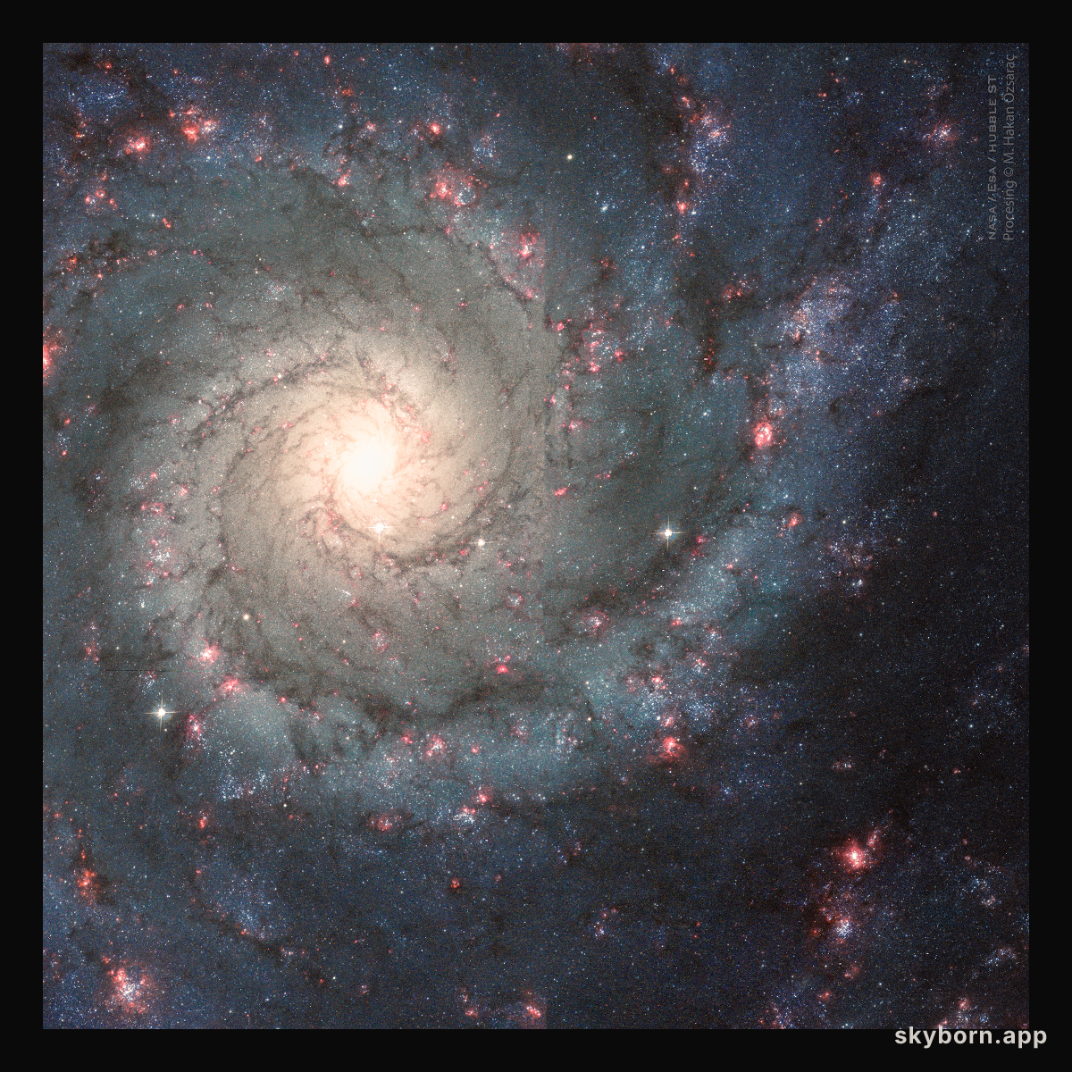 A Perfect Spiral