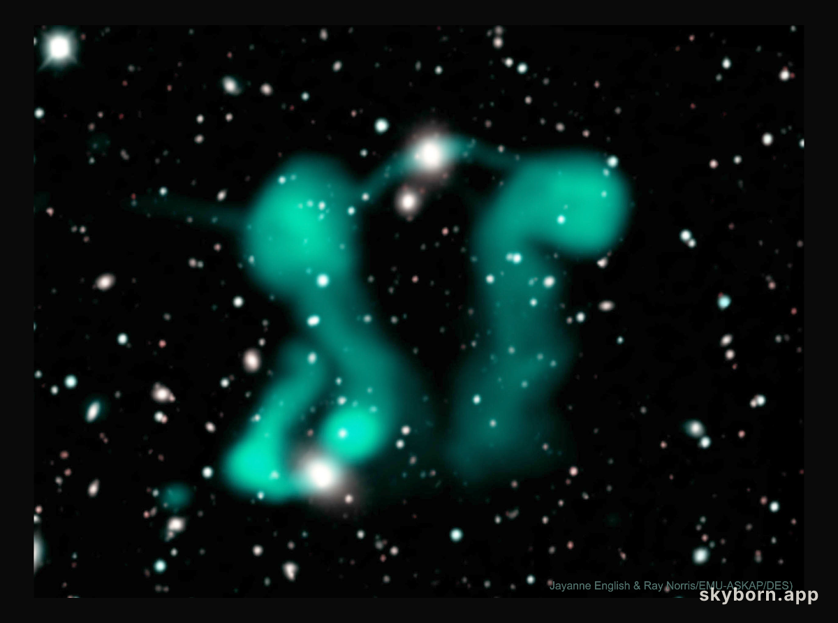 Dancing Ghosts: Curved Jets from Active Galaxies