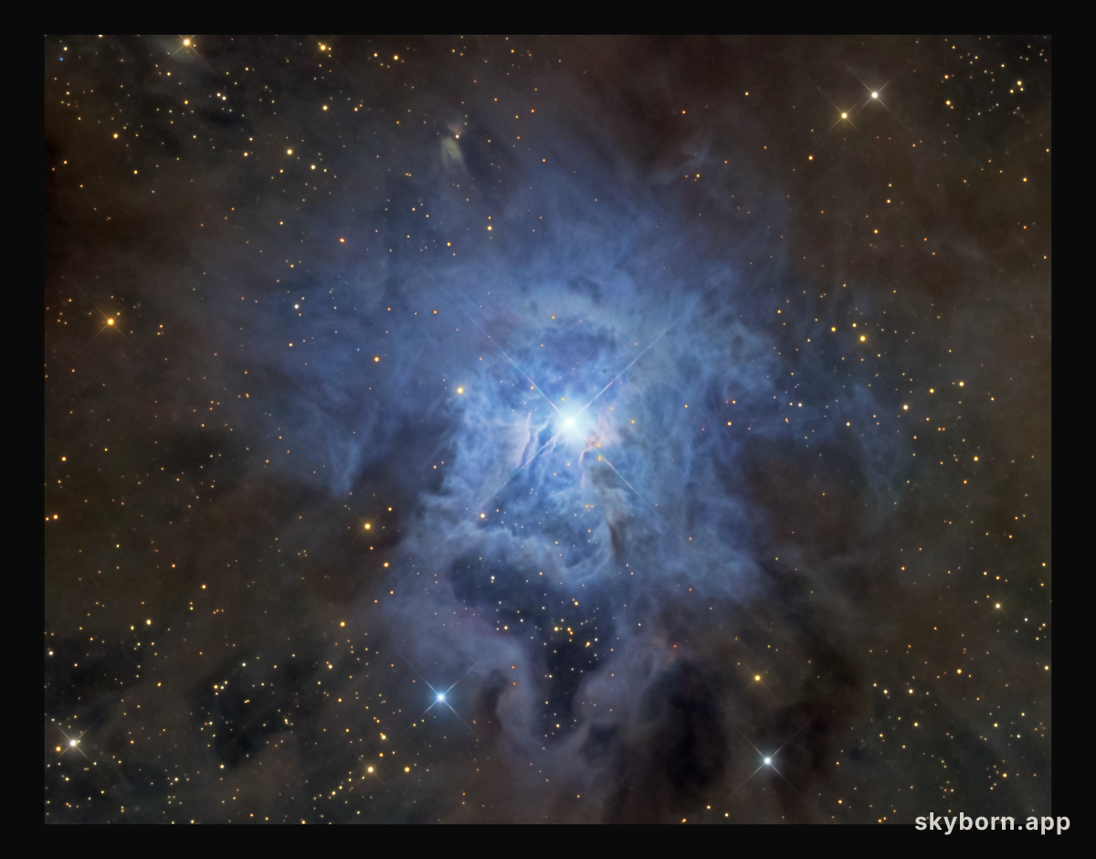NGC 7023: The Iris Nebula