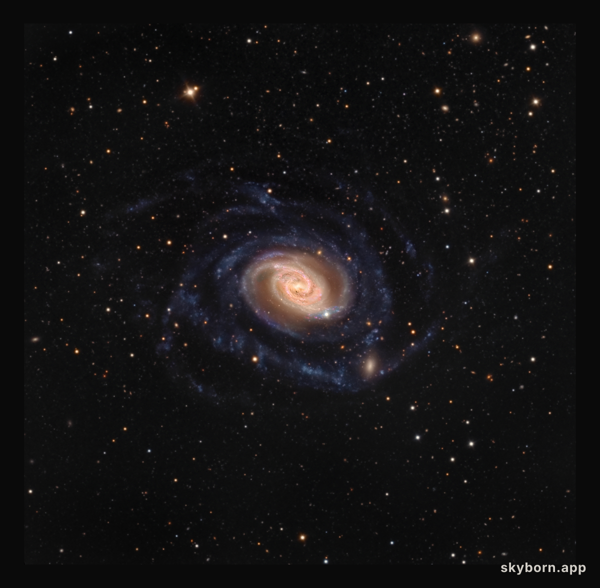 NGC 289: Swirl in the Southern Sky