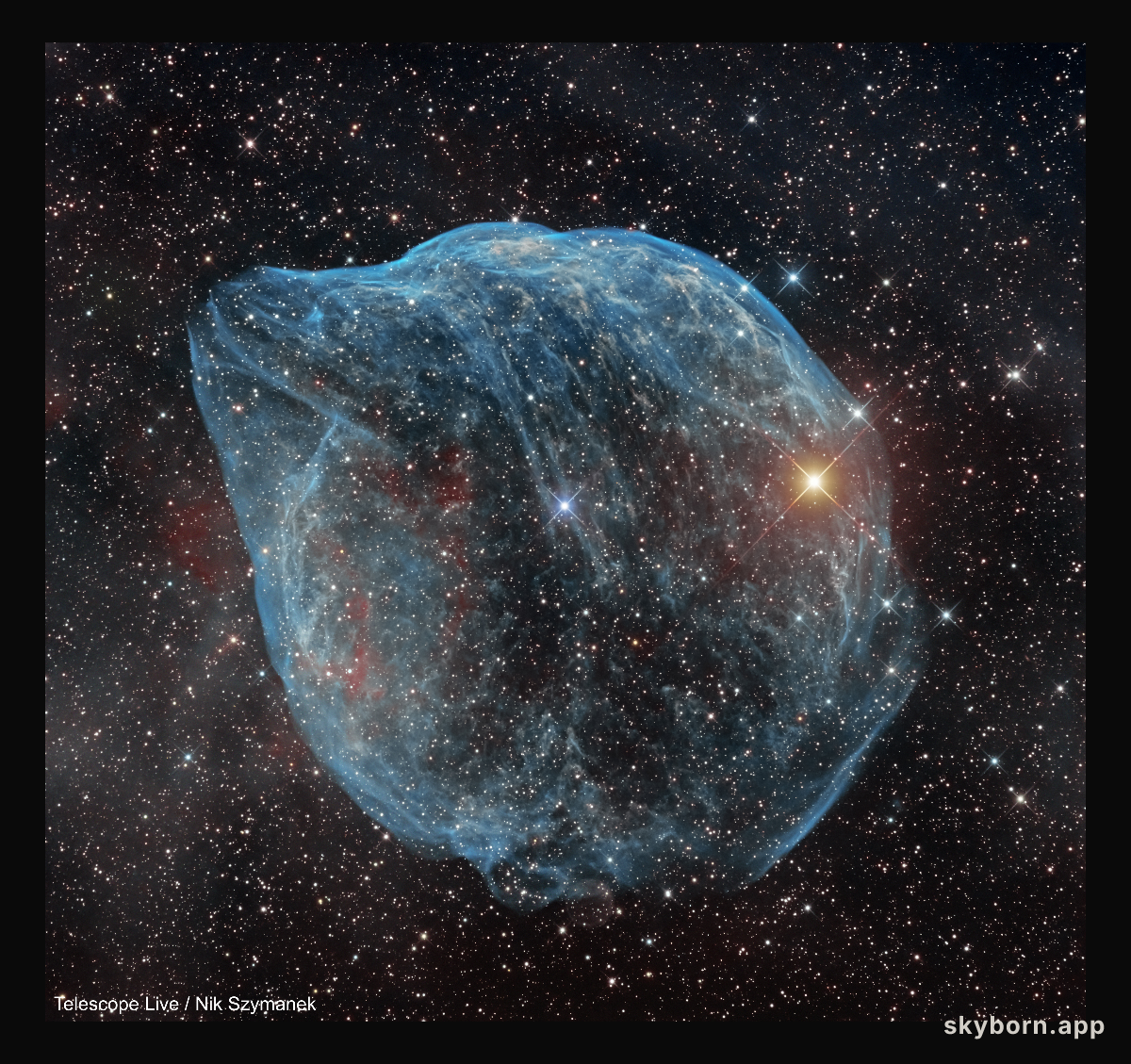 SH2-308: The Dolphin-head Nebula