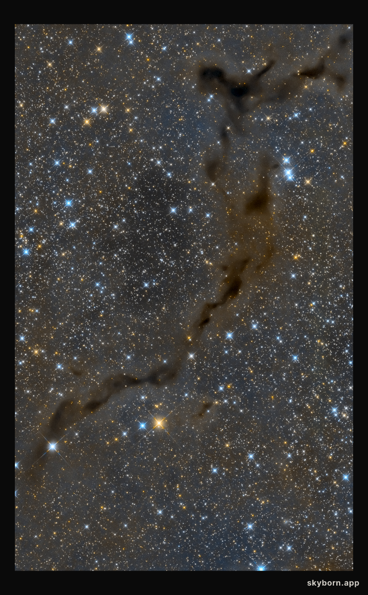 The Dark Seahorse in Cepheus