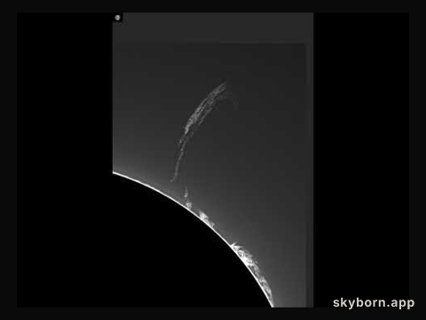 A Filament Leaps from the Sun