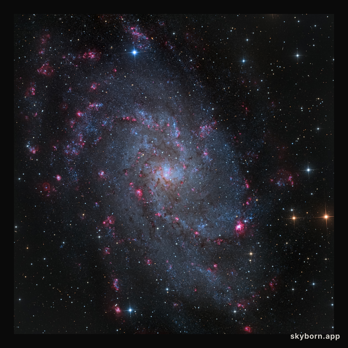 M33: The Triangulum Galaxy