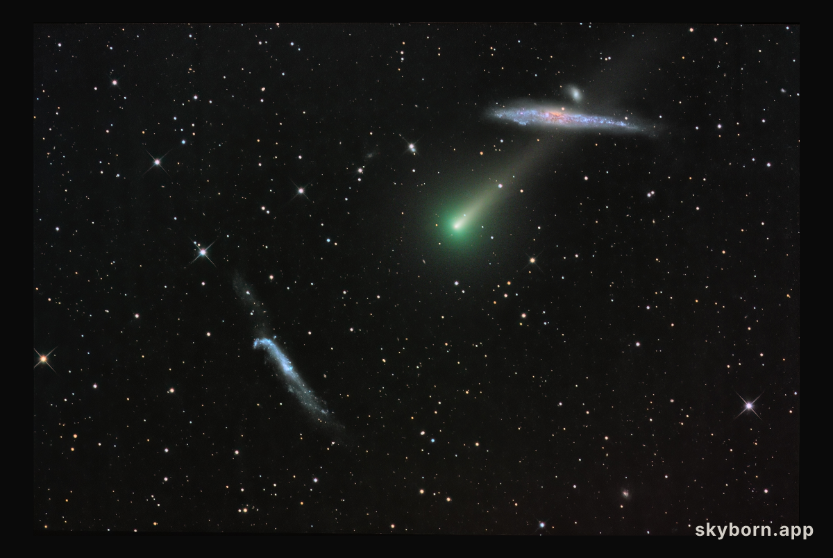 Comet Leonard and the Whale Galaxy