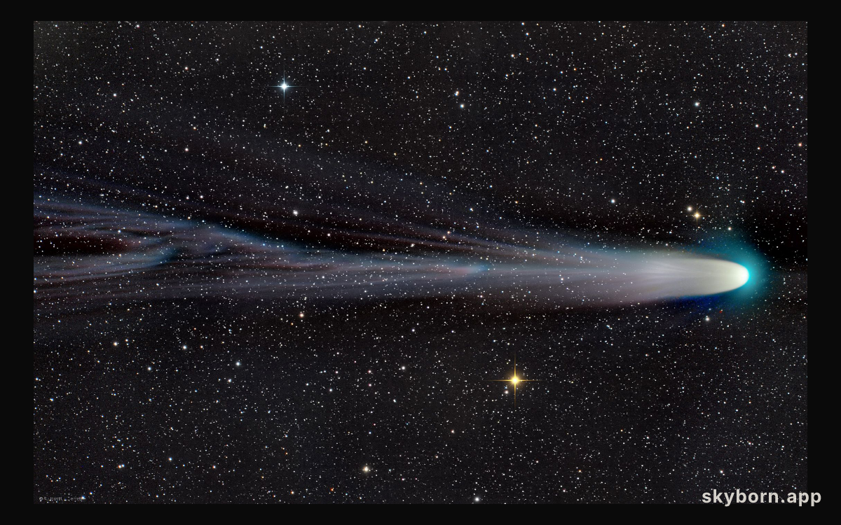 The Tail of a Christmas Comet