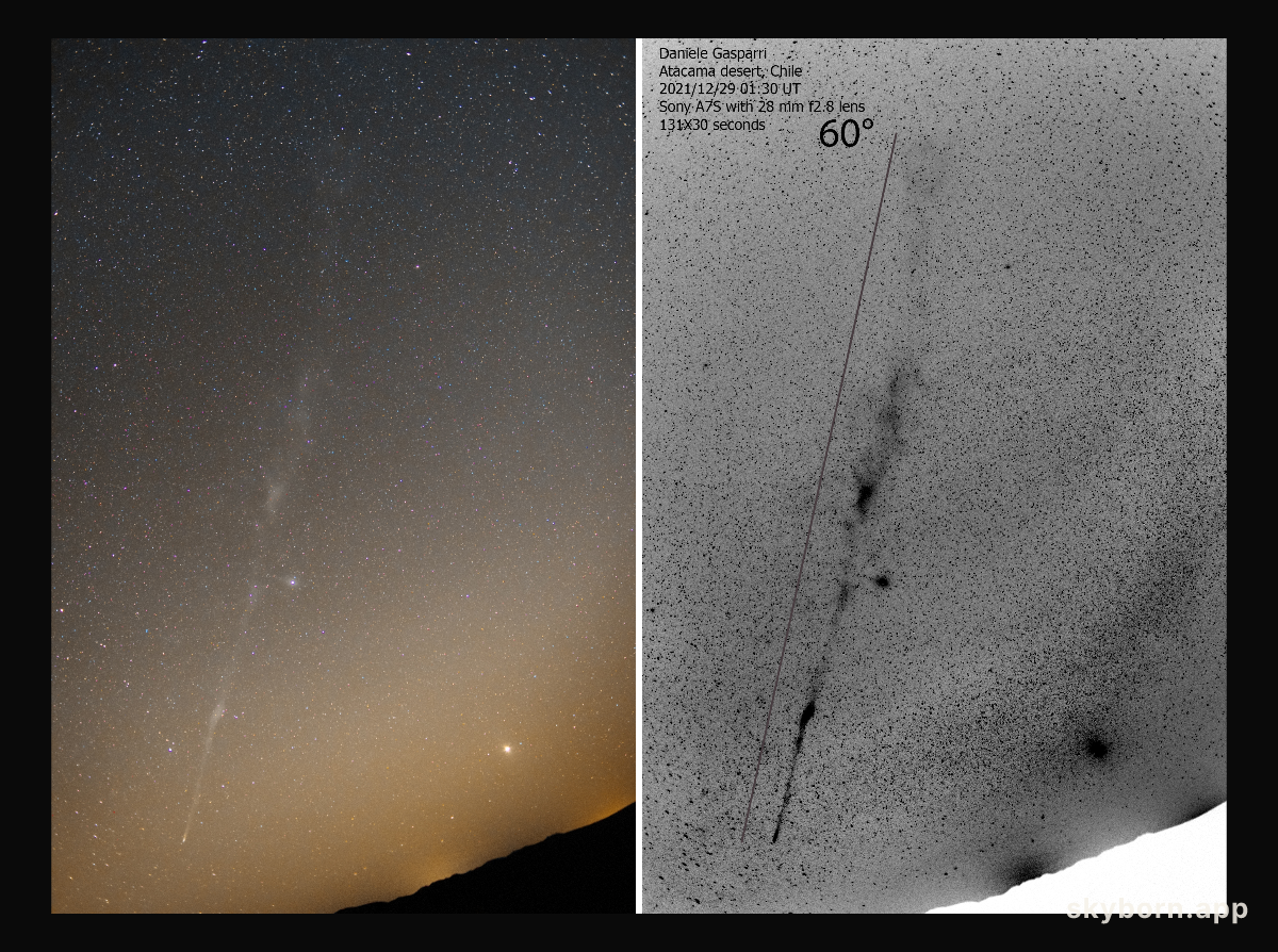 The Further Tail of Comet Leonard