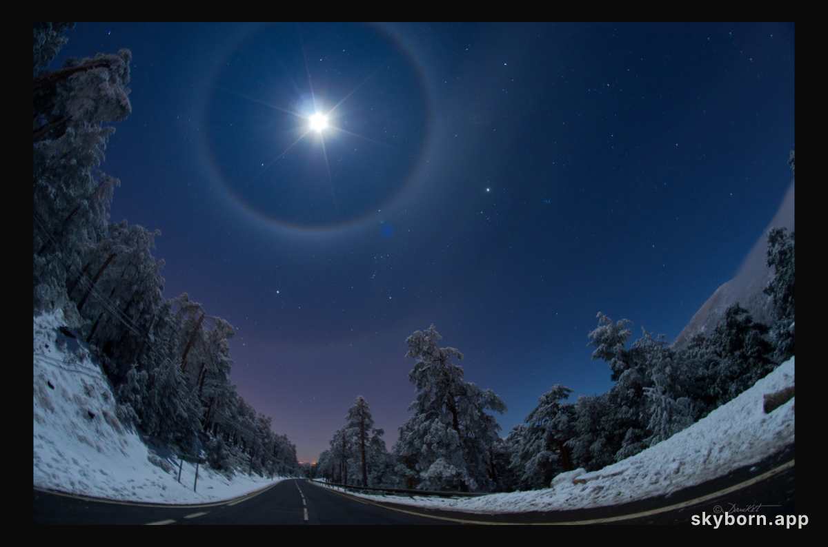 Quadruple Lunar Halo Over Winter Road