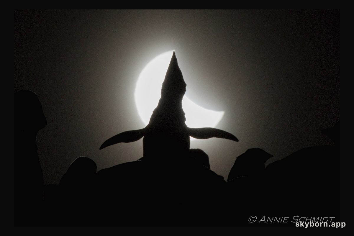 Ecstatic Solar Eclipse