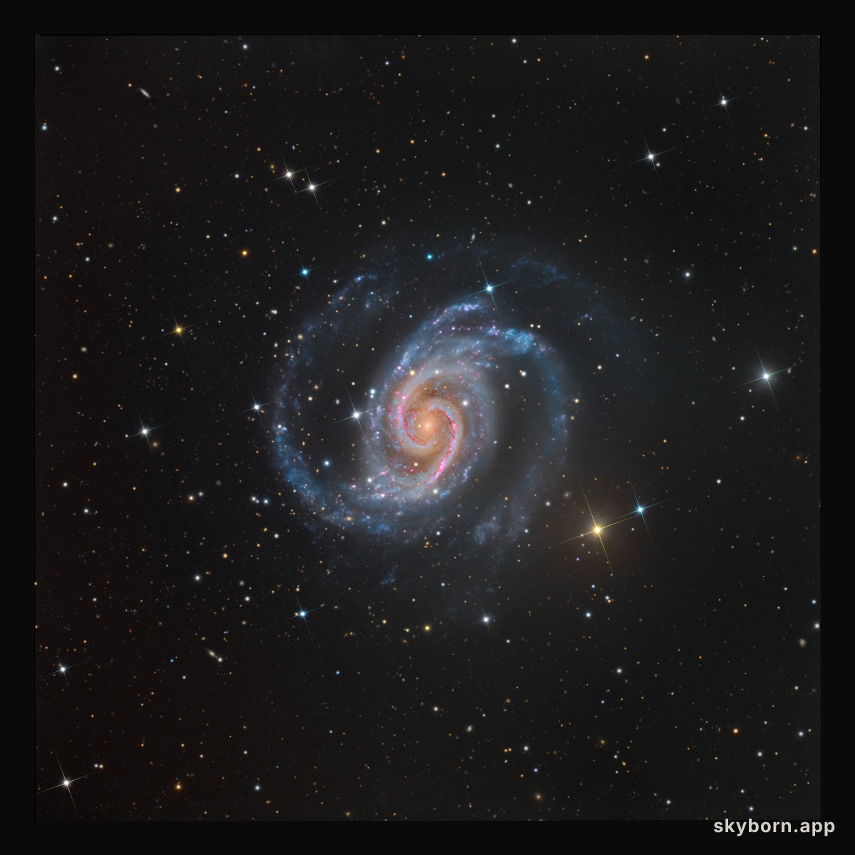NGC 1566: The Spanish Dancer Spiral Galaxy