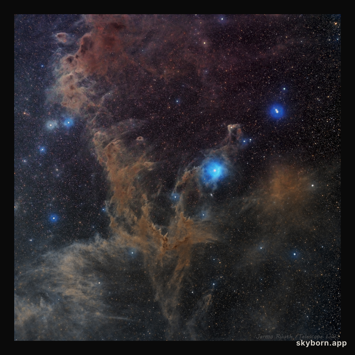 Chamaeleon Dark Nebulas