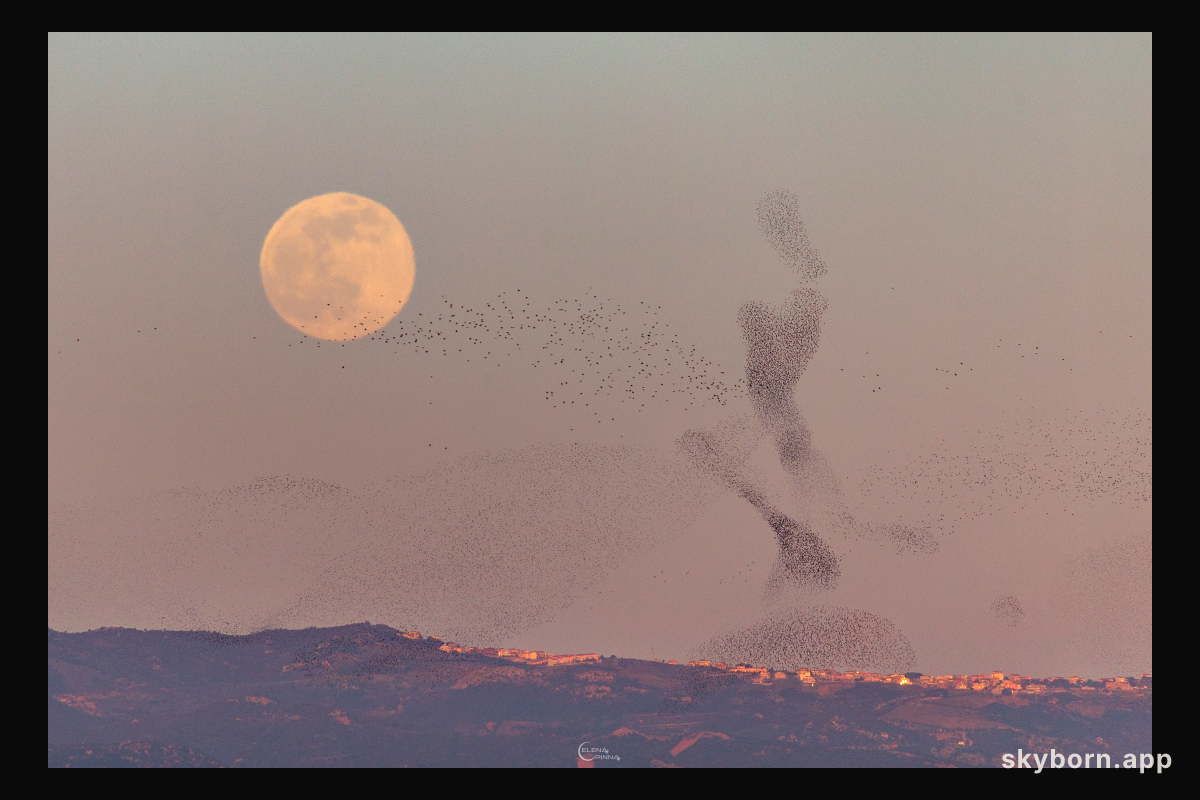 The Full Moon and the Dancer