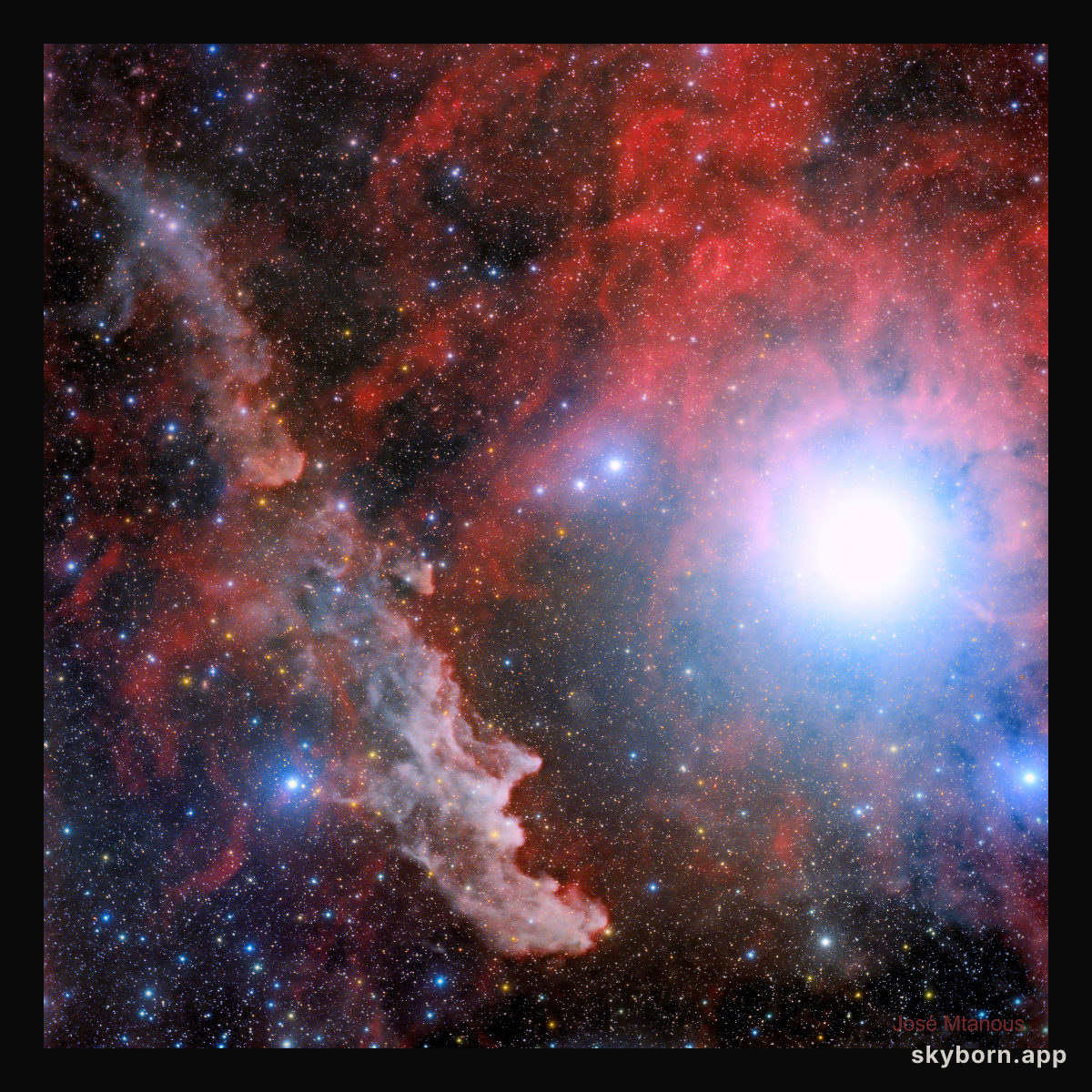 Rigel and the Witch Head Nebula