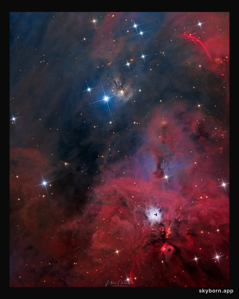 South of Orion