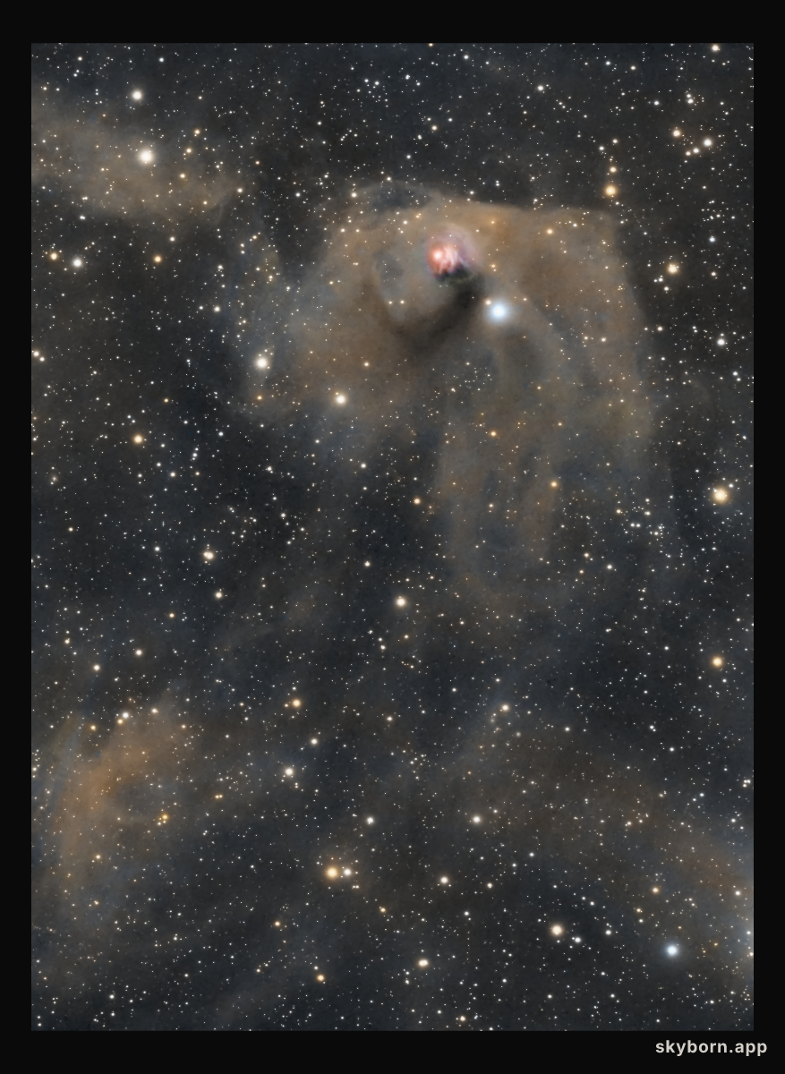 T Tauri and Hind's Variable Nebula