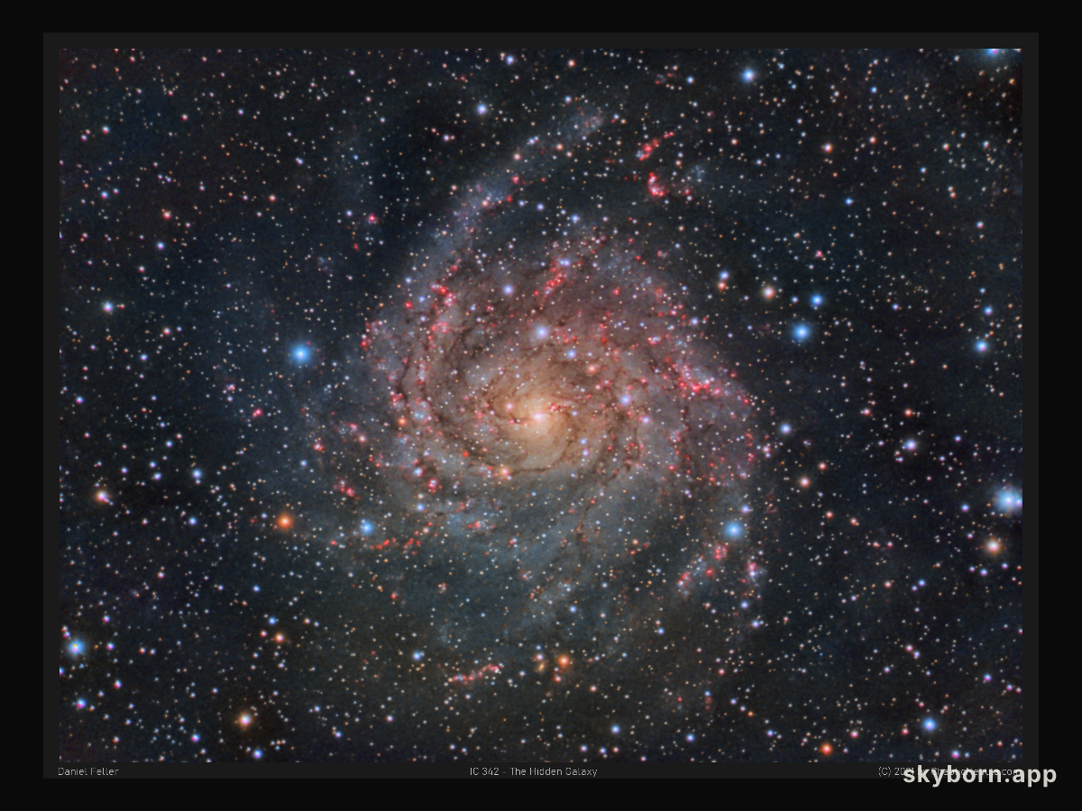 IC 342: The Hidden Galaxy in Camelopardalis