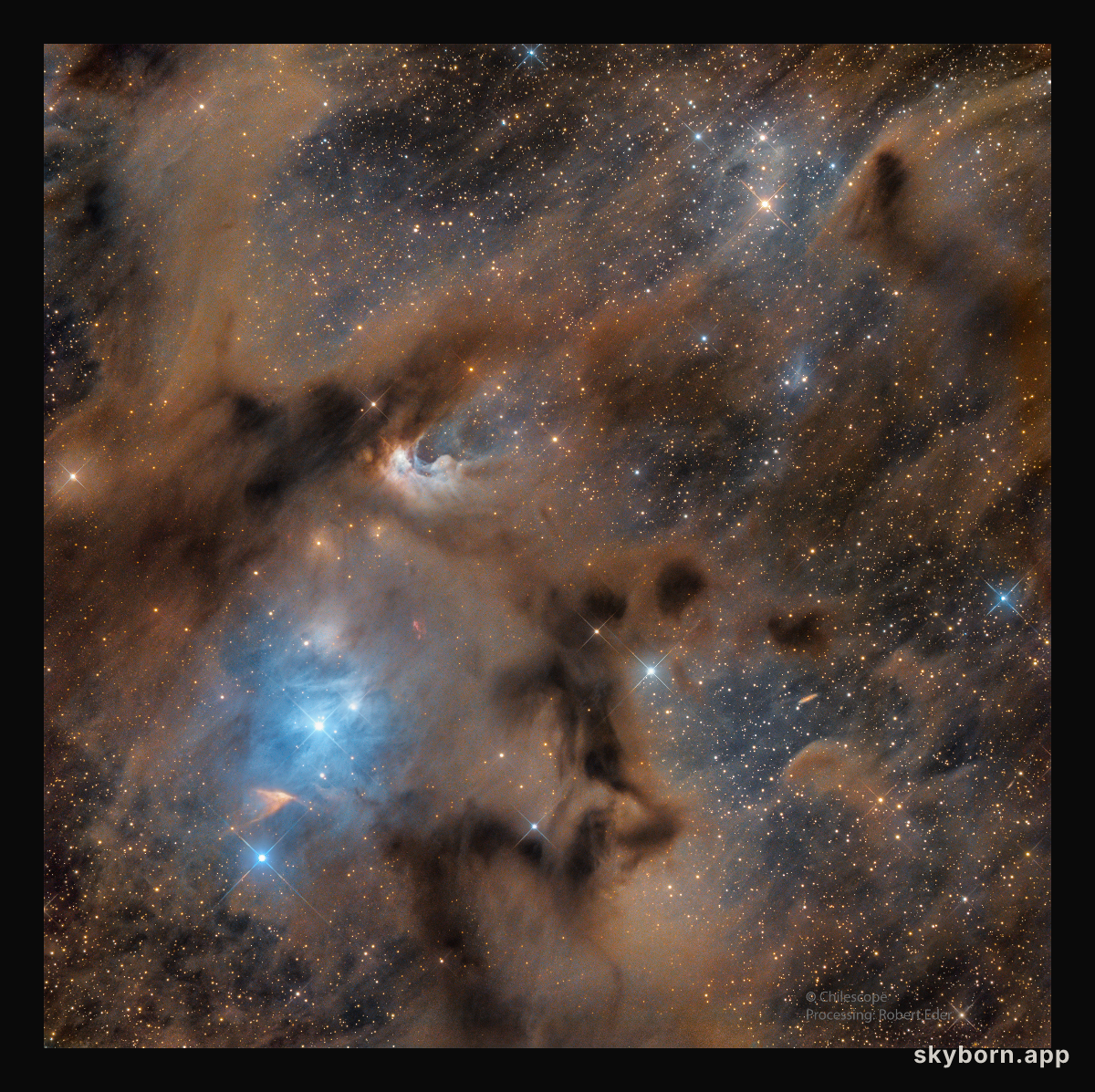 Chamaeleon I Molecular Cloud