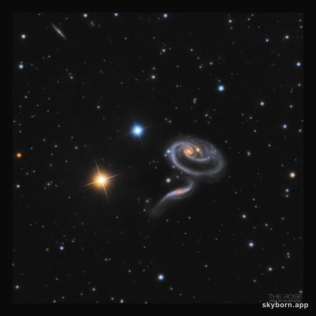Peculiar Galaxies of Arp 273