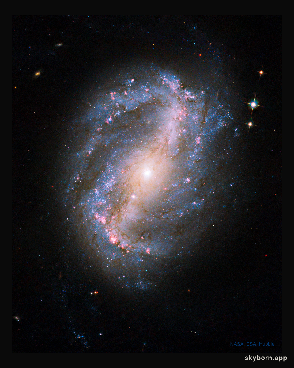Barred Spiral Galaxy NGC 6217
