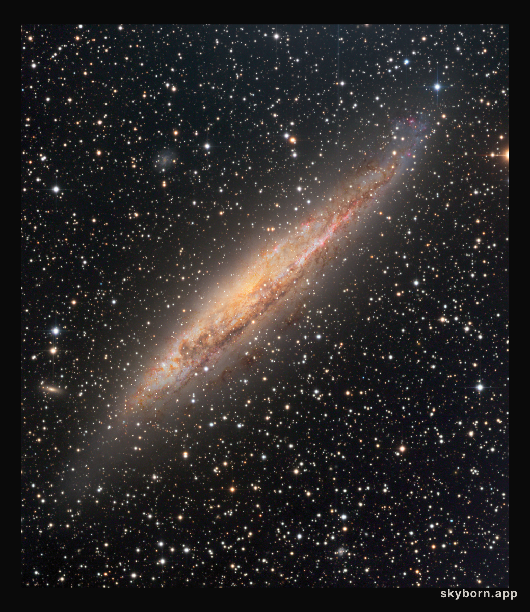 Nearby Spiral Galaxy NGC 4945