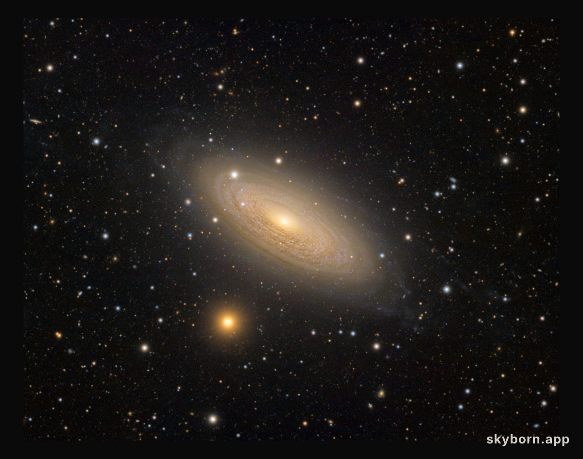 Spiral Galaxy NGC 2841