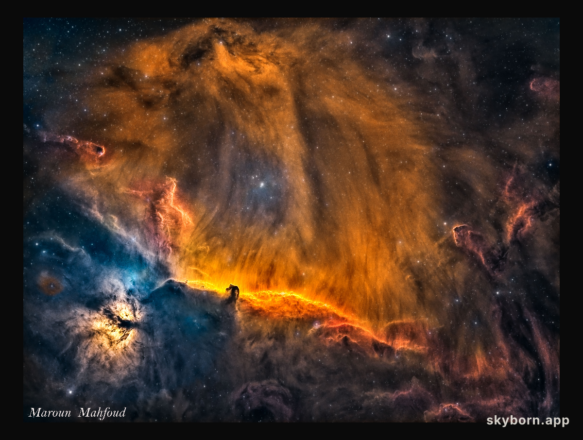 A Lion in Orion