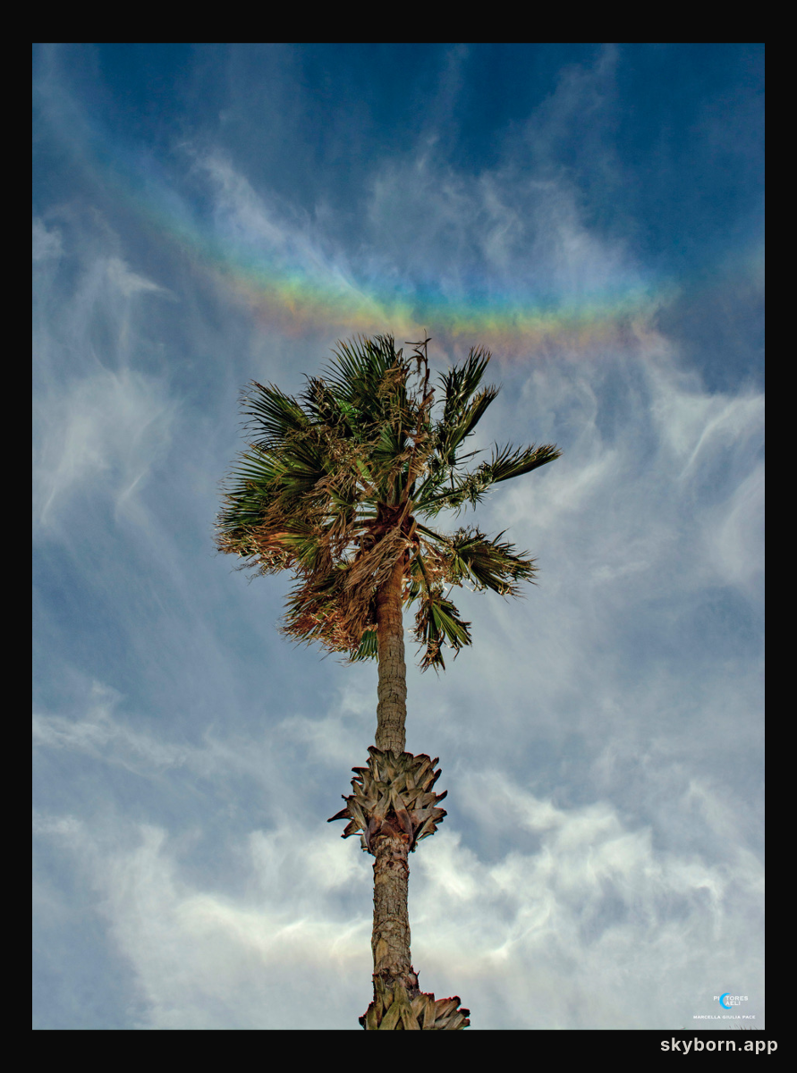 When Rainbows Smile