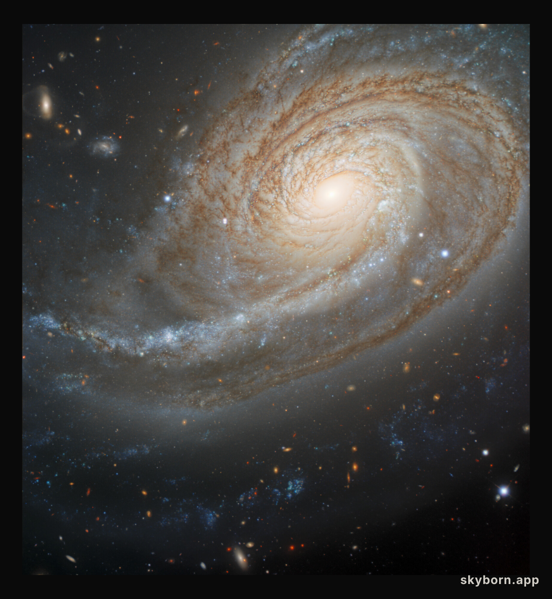 Arp 78: Peculiar Galaxy in Aries