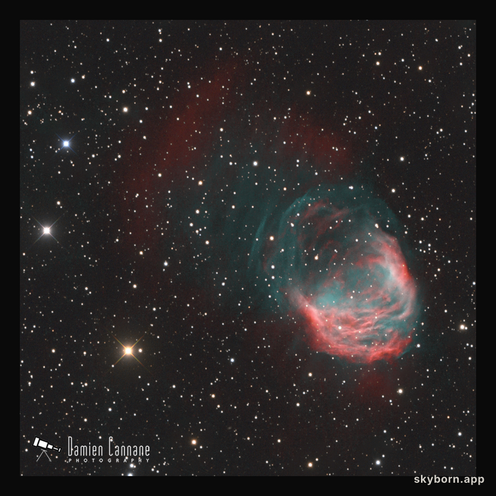 The Medusa Nebula