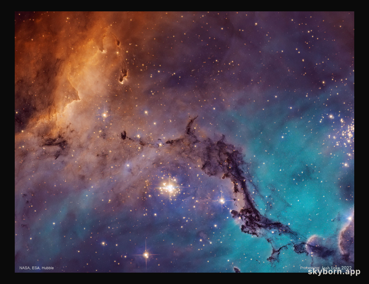 N11: Star Clouds of the LMC