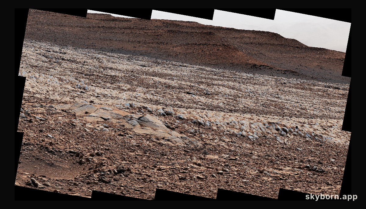 The Gator-Back Rocks of Mars