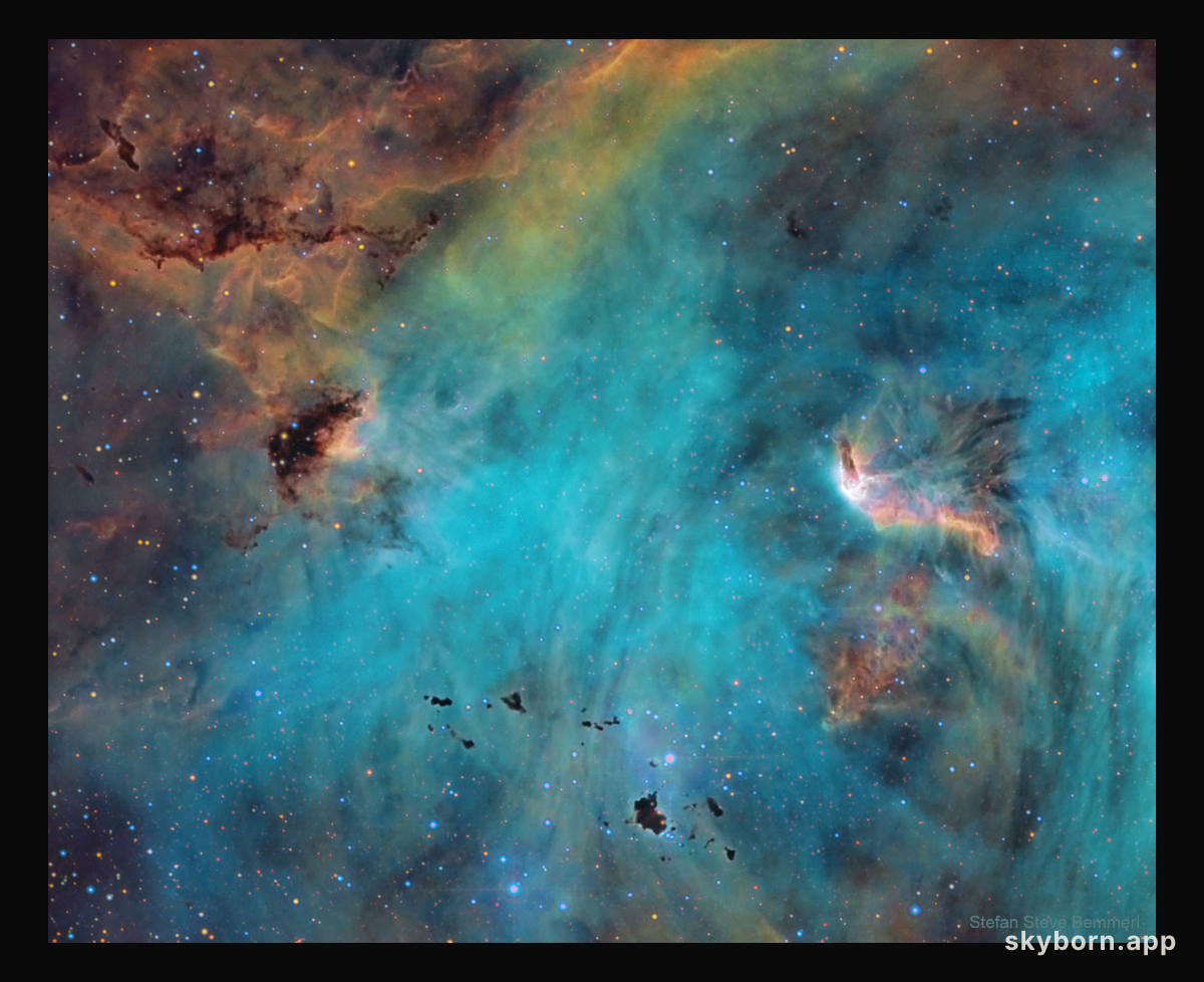 Stars and Globules in the Running Chicken Nebula