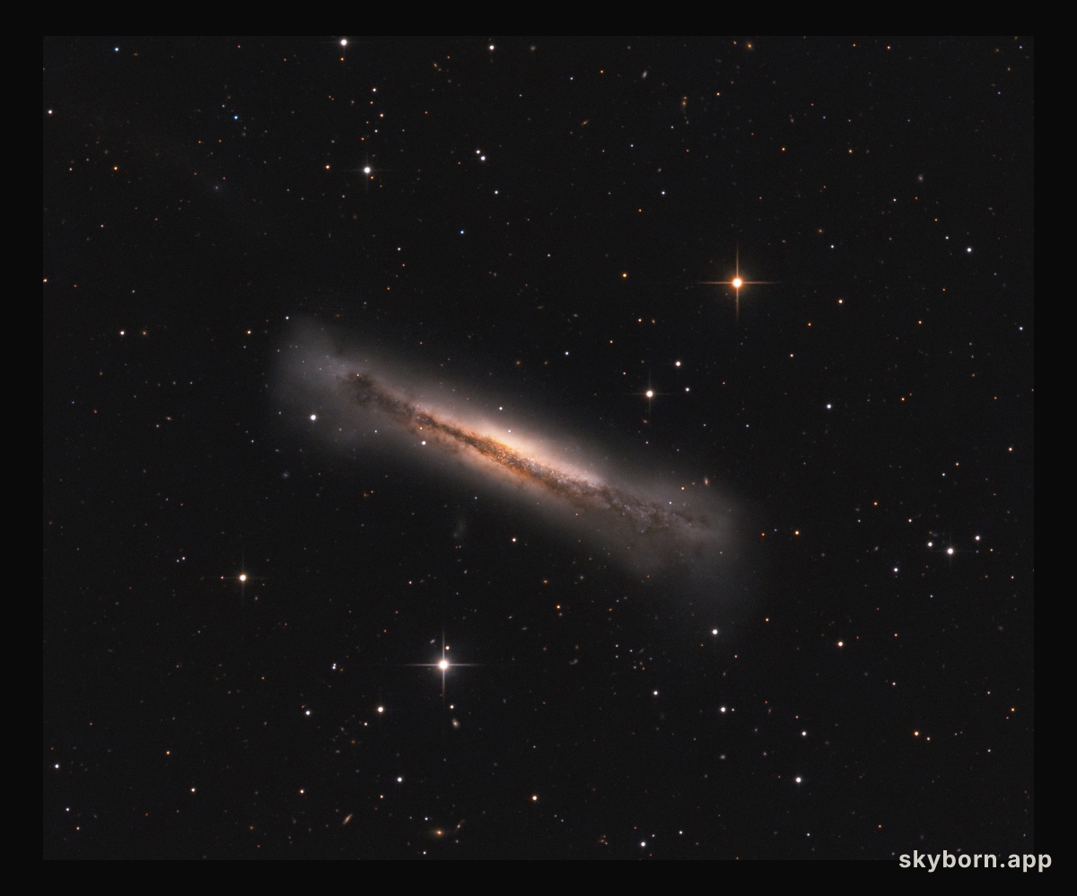 Portrait of NGC 3628