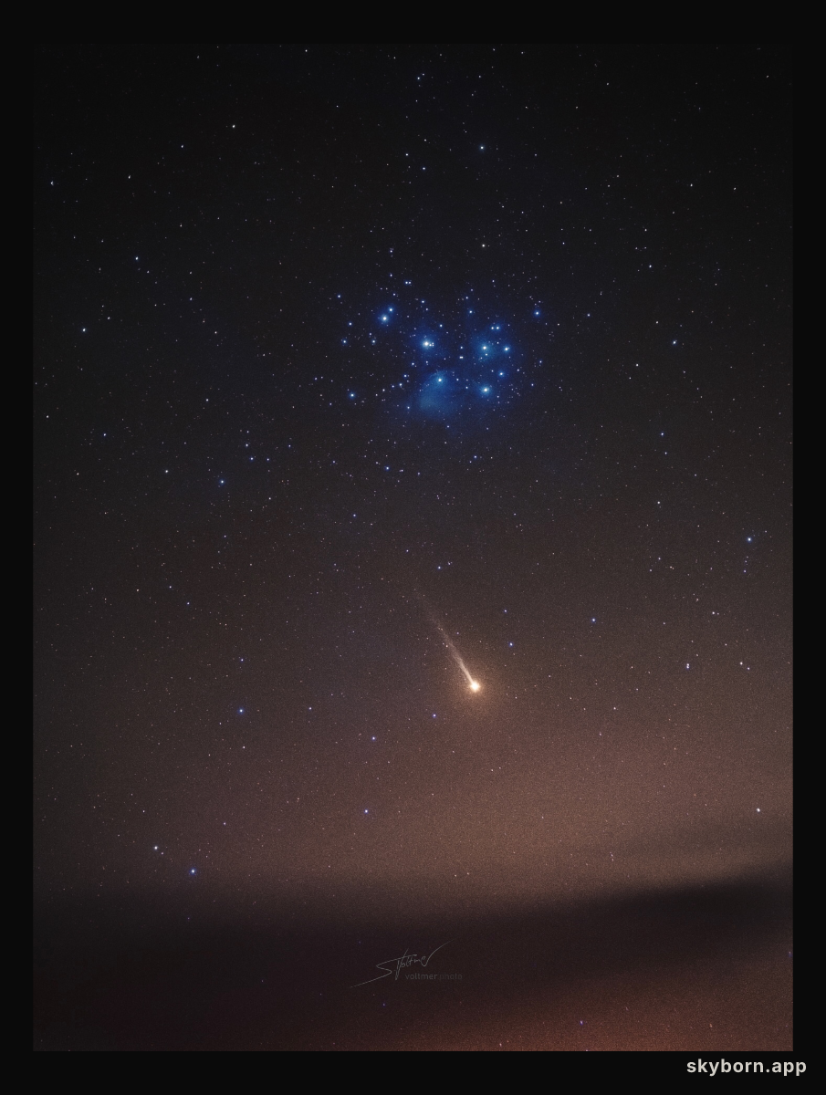 Mercury's Sodium Tail
