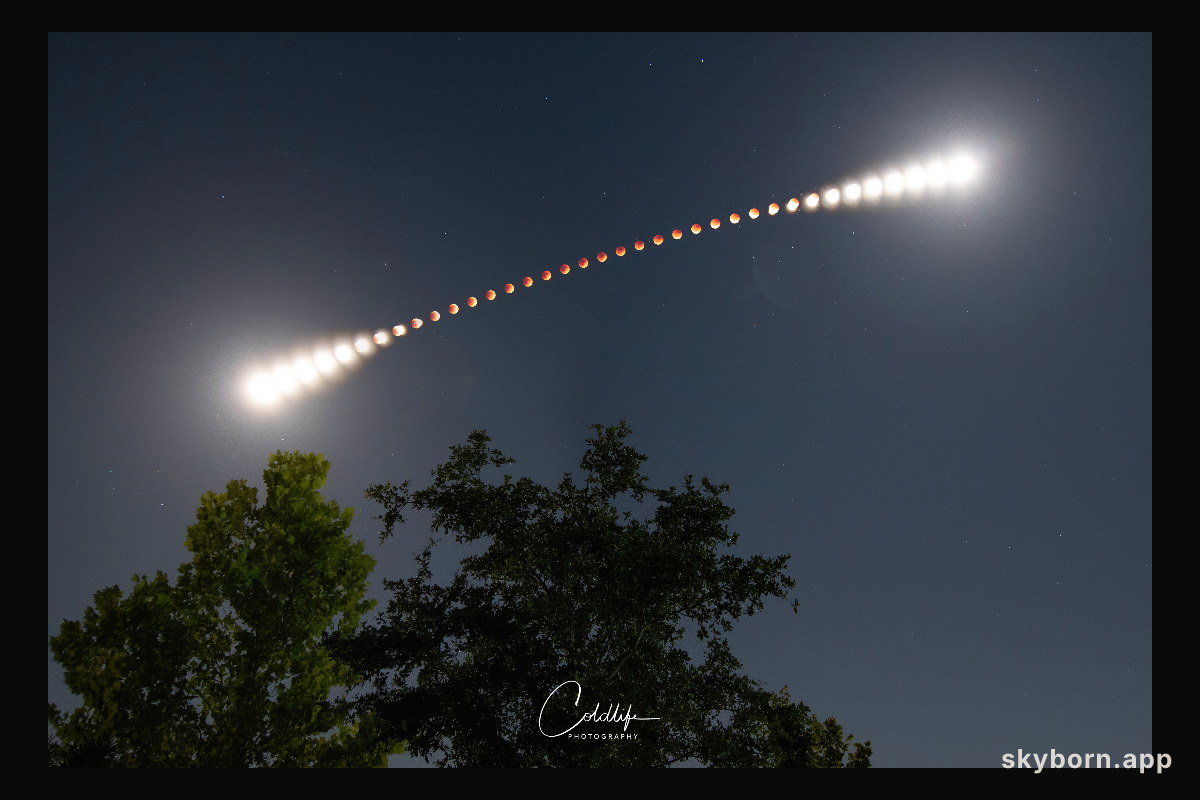 A Digital Lunar Eclipse