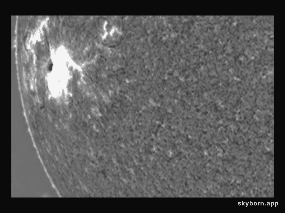 A Large Tsunami Shock Wave on the Sun