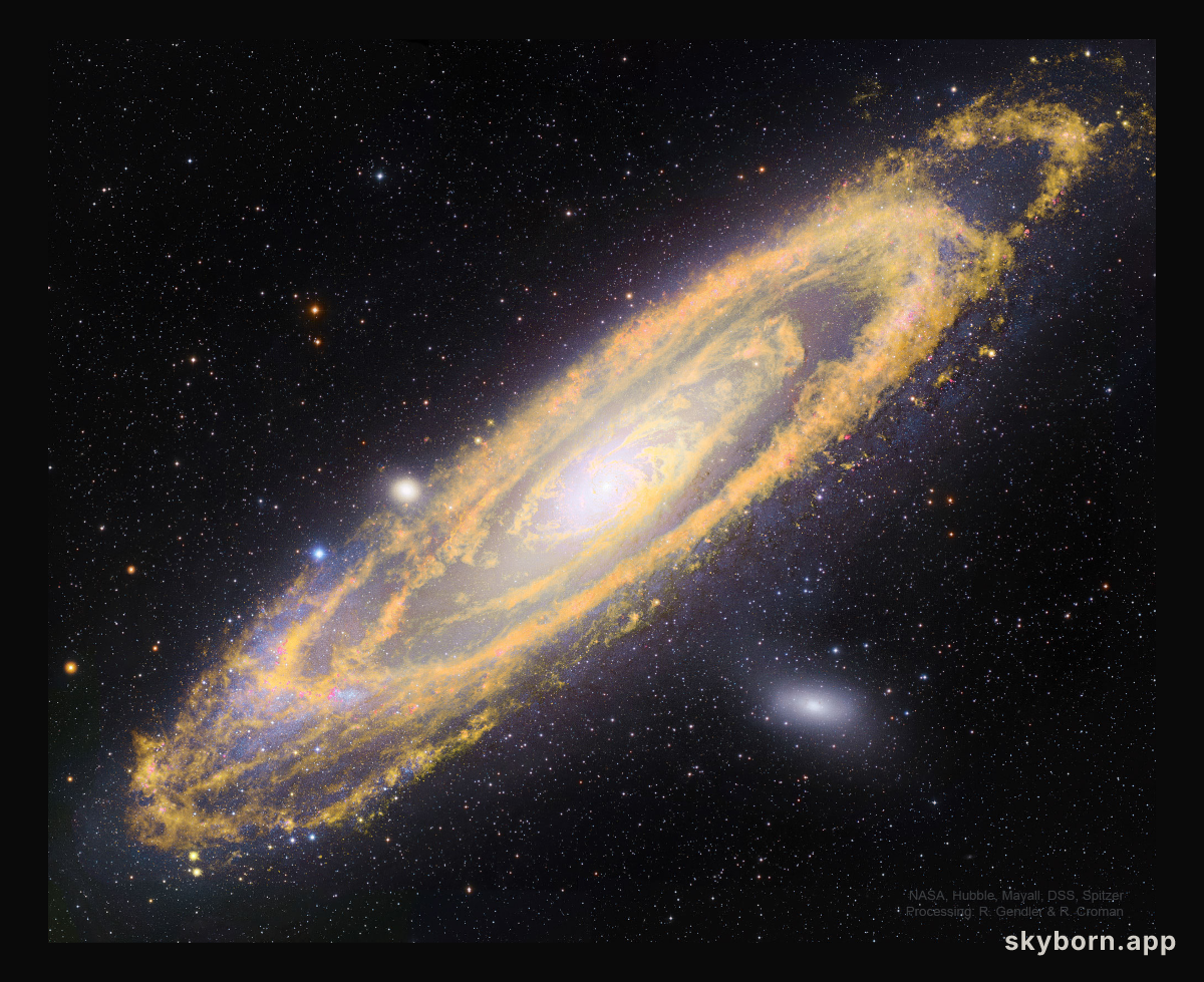 The Once and Future Stars of Andromeda