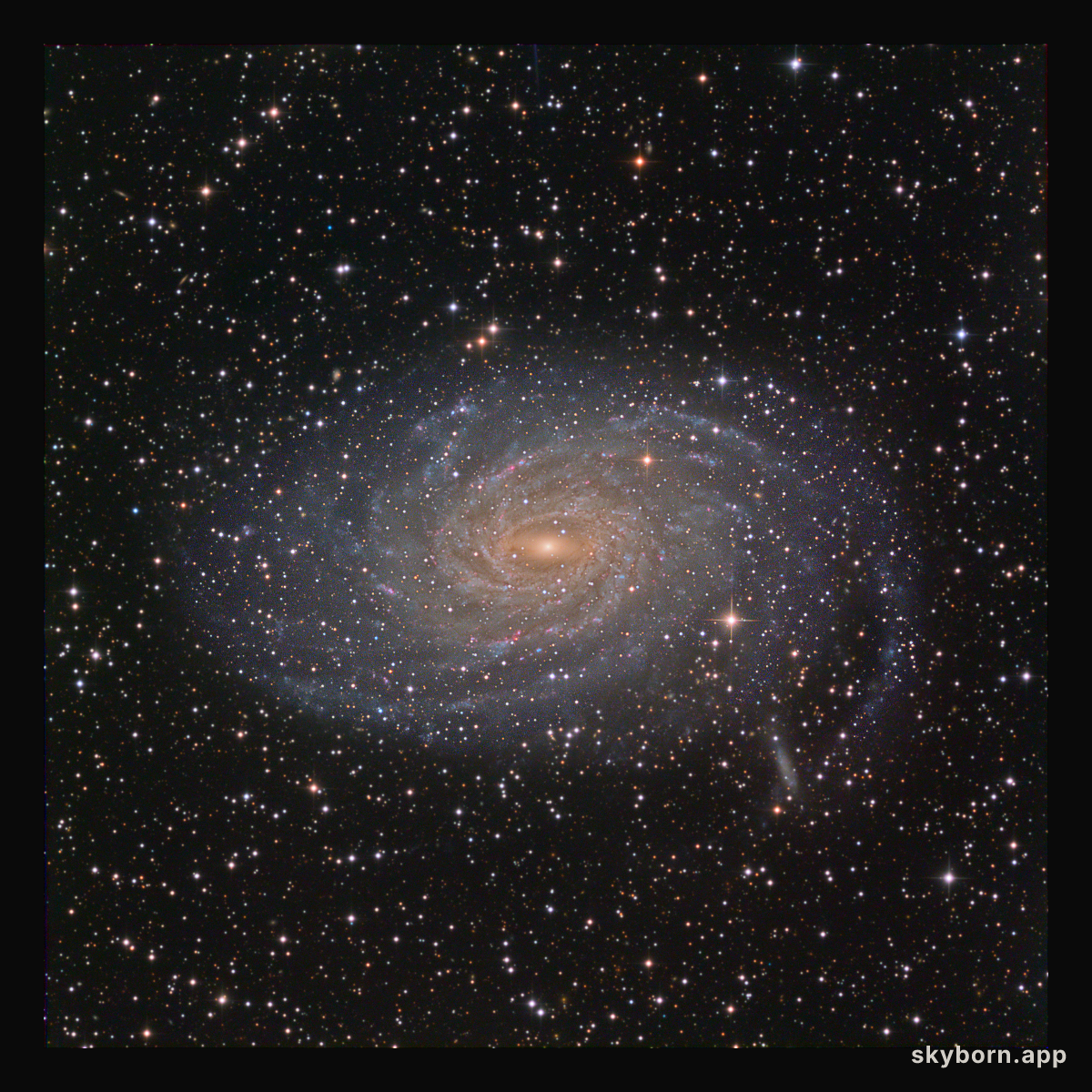Spiral Galaxy NGC 6744