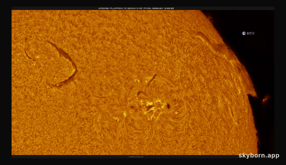 Filaprom on the Western Limb